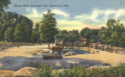 Пощенска картичка от Синсинати, щата Охайо