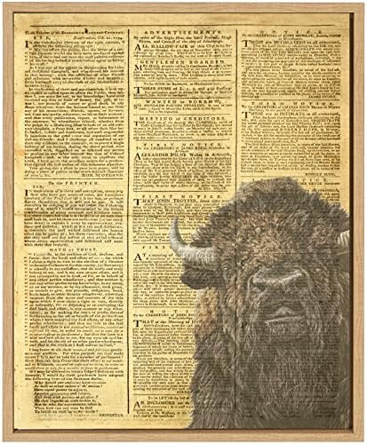 HYD Art Високият Крава, Една Животно, Стенни Артистични Щампи върху Платното за Декориране на Всекидневна, 8x10